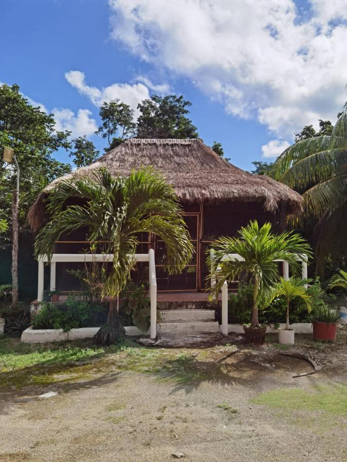 Paradise Ranch كوزوميل المظهر الخارجي الصورة